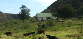 Guest Farm Eastern Cape, Baviaans, R62, Langkloof, Kareedouw