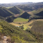 Guest Farm Eastern Cape, Baviaans, R62, Langkloof, Kareedouw
